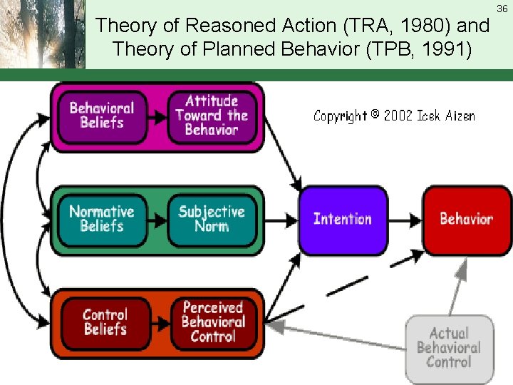 Theory of Reasoned Action (TRA, 1980) and Theory of Planned Behavior (TPB, 1991) 36