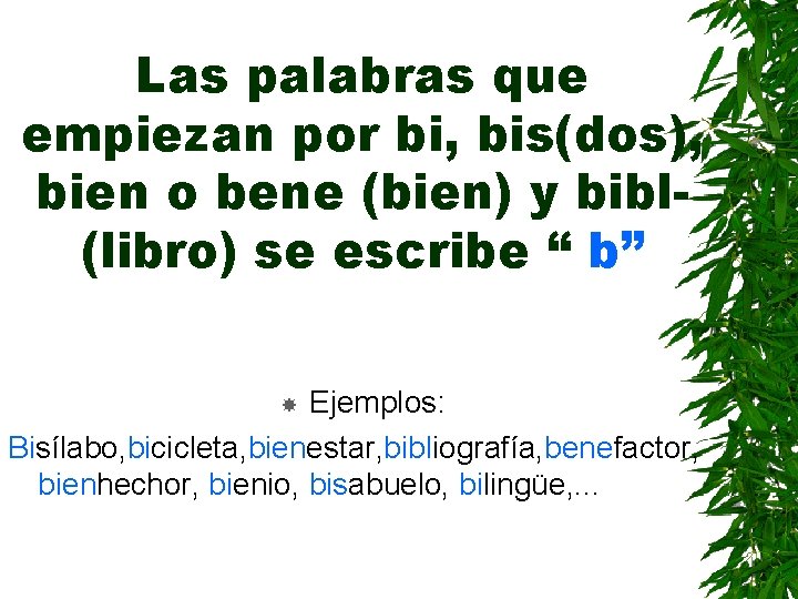 Las palabras que empiezan por bi, bis(dos), bien o bene (bien) y bibl(libro) se