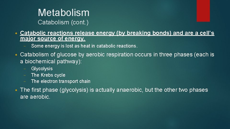 Metabolism Catabolism (cont. ) • Catabolic reactions release energy (by breaking bonds) and are