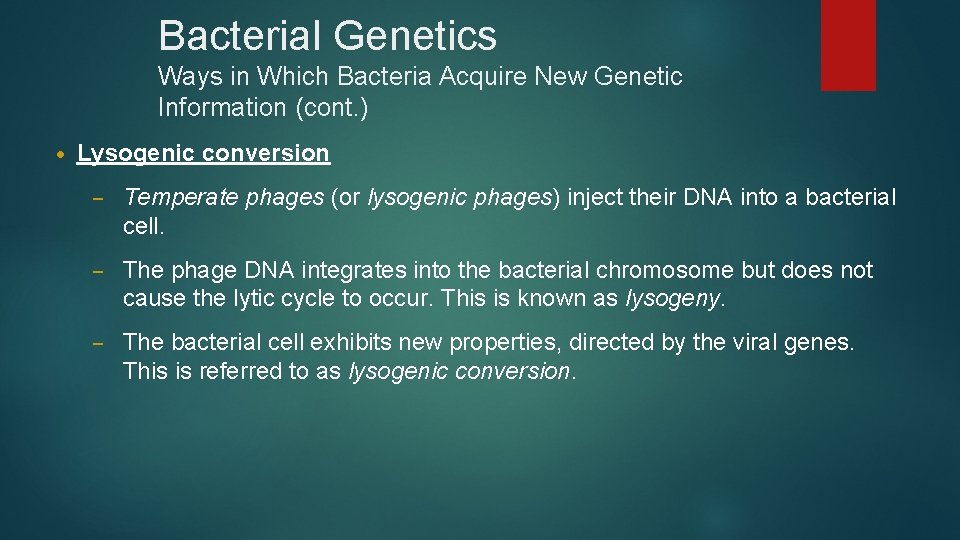 Bacterial Genetics Ways in Which Bacteria Acquire New Genetic Information (cont. ) • Lysogenic