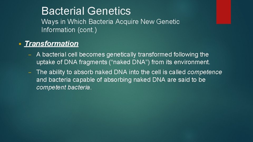 Bacterial Genetics Ways in Which Bacteria Acquire New Genetic Information (cont. ) • Transformation