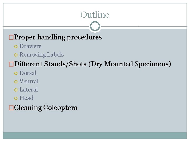 Outline �Proper handling procedures Drawers Removing Labels �Different Stands/Shots (Dry Mounted Specimens) Dorsal Ventral