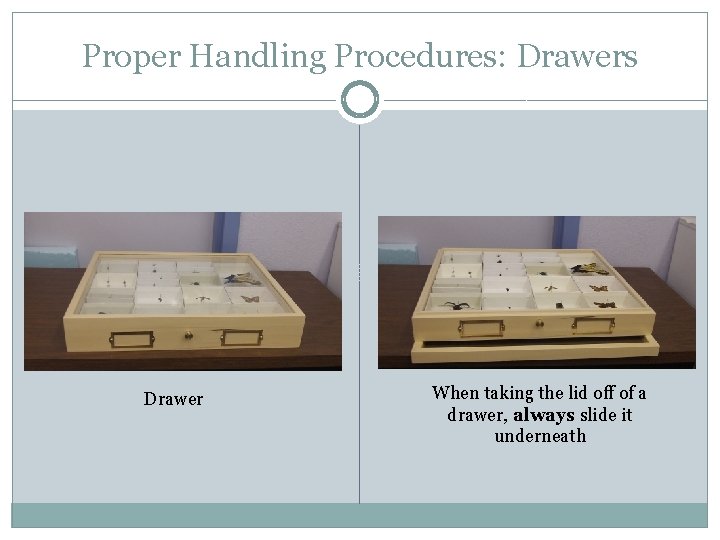 Proper Handling Procedures: Drawers Drawer When taking the lid off of a drawer, always