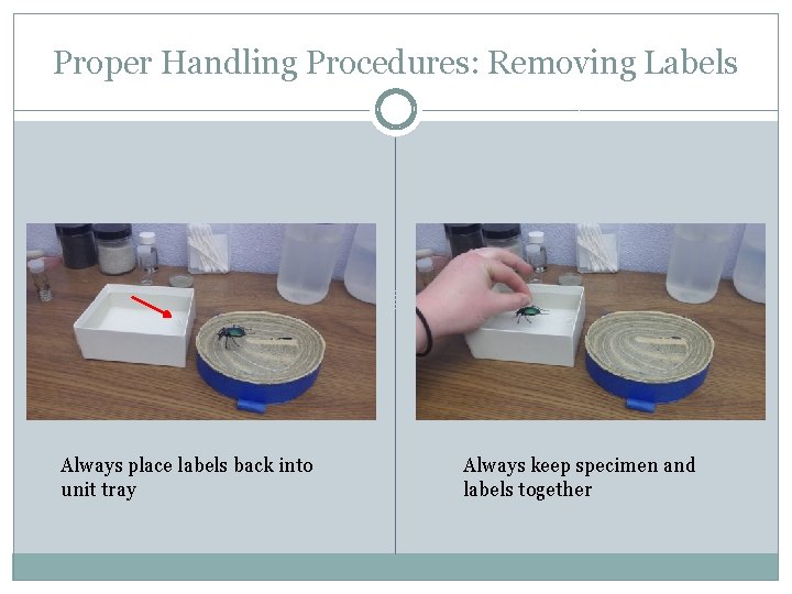 Proper Handling Procedures: Removing Labels Always place labels back into unit tray Always keep