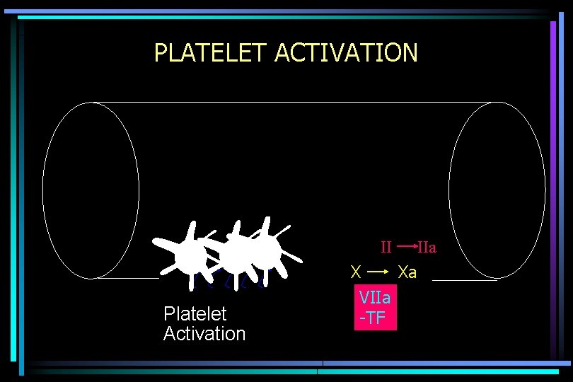 PLATELET ACTIVATION II Platelet Activation X Xa VIIa -TF IIa 