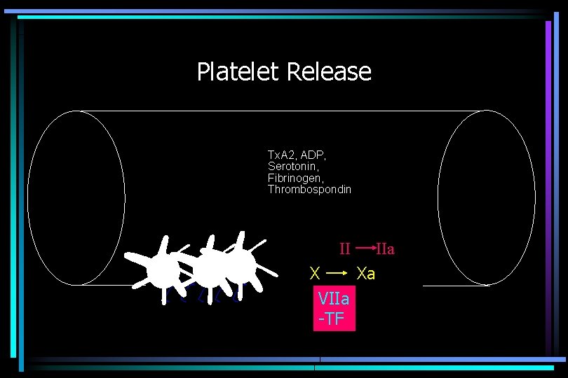 Platelet Release Tx. A 2, ADP, Serotonin, Fibrinogen, Thrombospondin II X Xa VIIa -TF