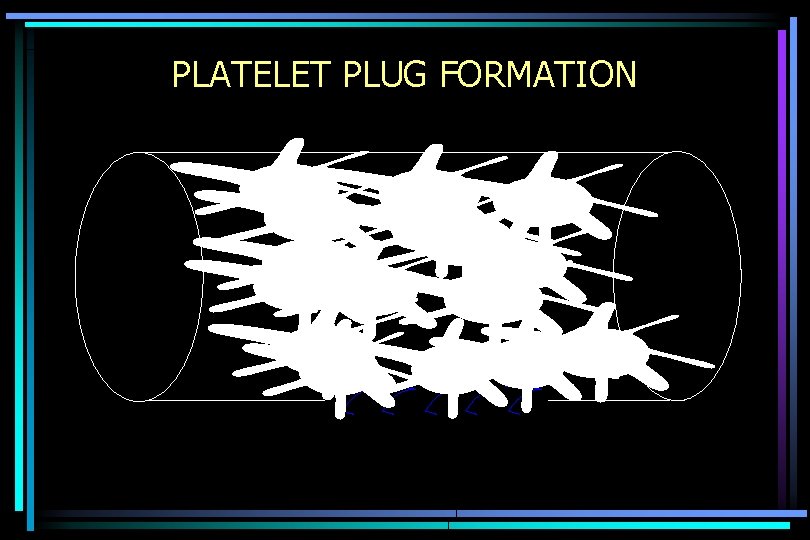 PLATELET PLUG FORMATION 