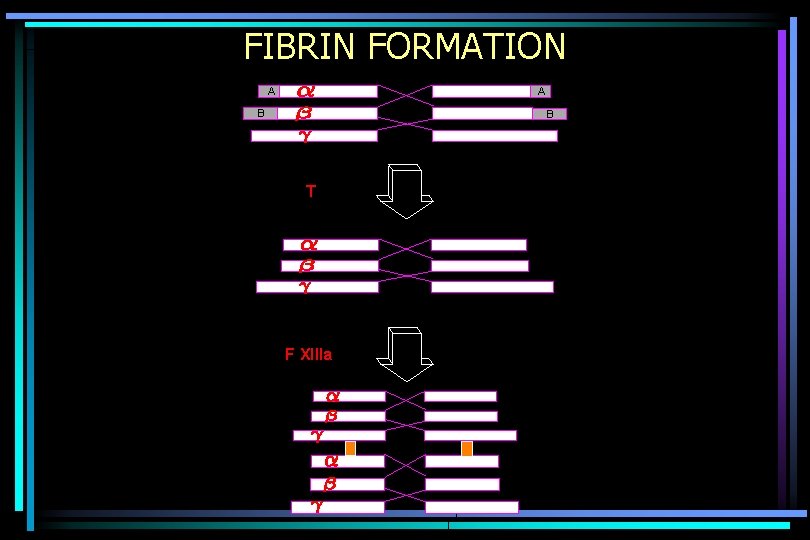 FIBRIN FORMATION A A B B T F XIIIa 