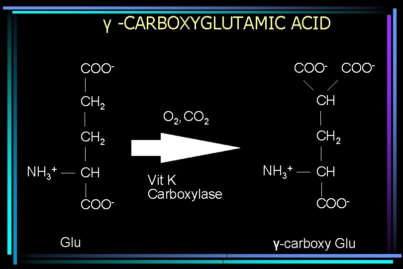γ -CARBOXYGLUTAMIC ACID COO- COOCH 2 CH O 2, CO 2 CH 2 NH