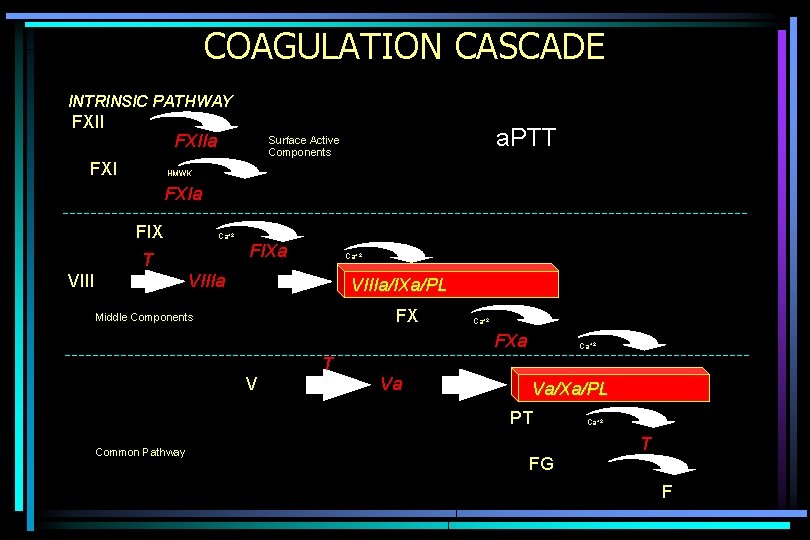 COAGULATION CASCADE INTRINSIC PATHWAY FXIIa FXI a. PTT Surface Active Components HMWK FXIa FIX