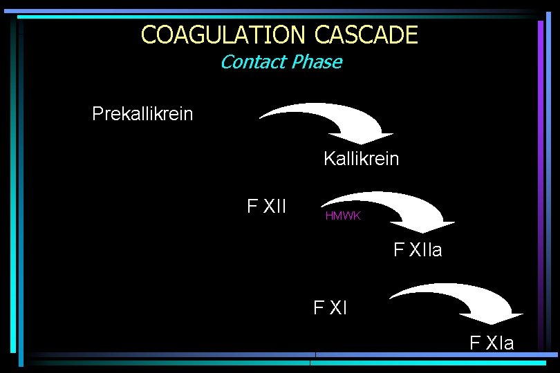COAGULATION CASCADE Contact Phase Prekallikrein Kallikrein F XII HMWK F XIIa F XIa 