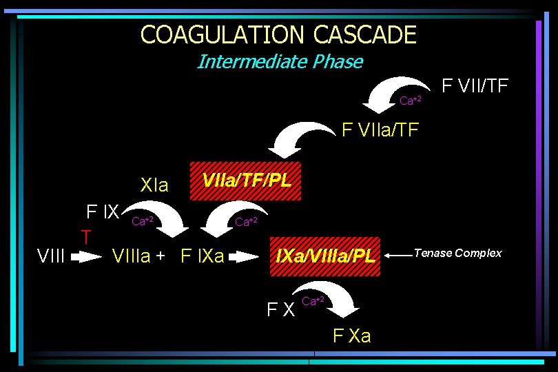 COAGULATION CASCADE Intermediate Phase Ca+2 F VII/TF F VIIa/TF XIa VIIa/TF/PL F IX Ca