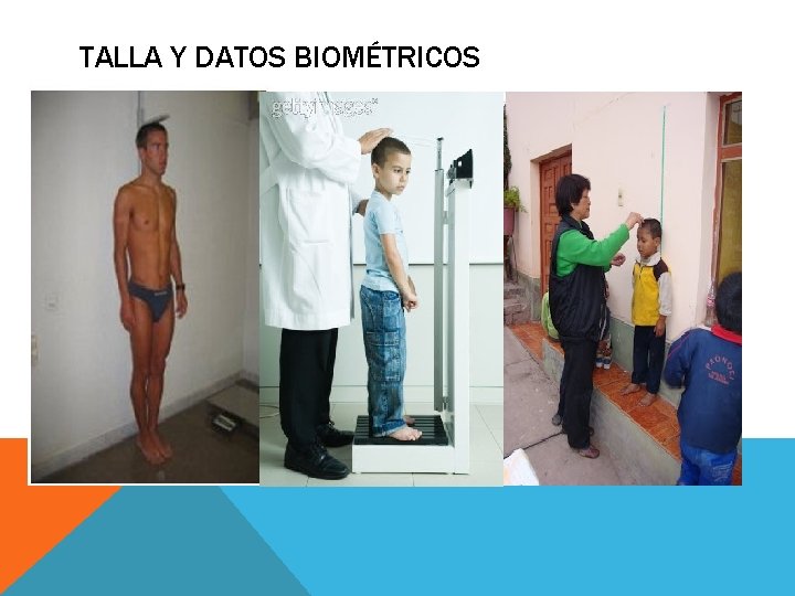 TALLA Y DATOS BIOMÉTRICOS 