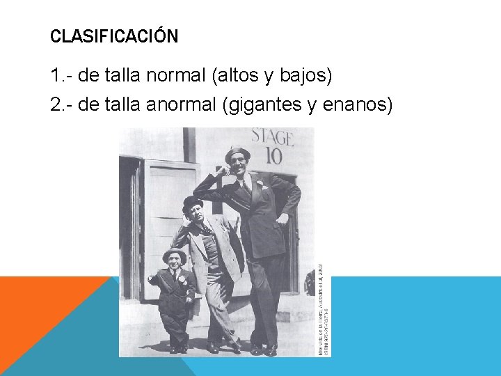 CLASIFICACIÓN 1. - de talla normal (altos y bajos) 2. - de talla anormal