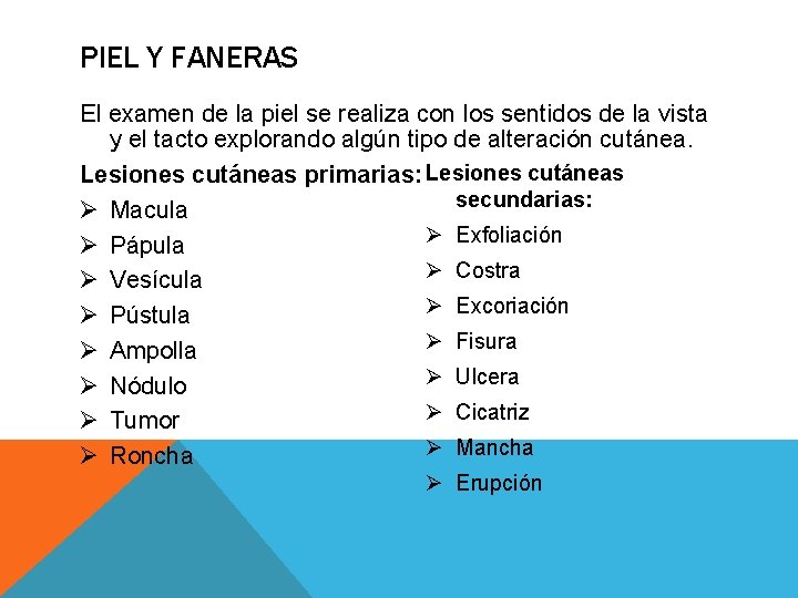 PIEL Y FANERAS El examen de la piel se realiza con los sentidos de