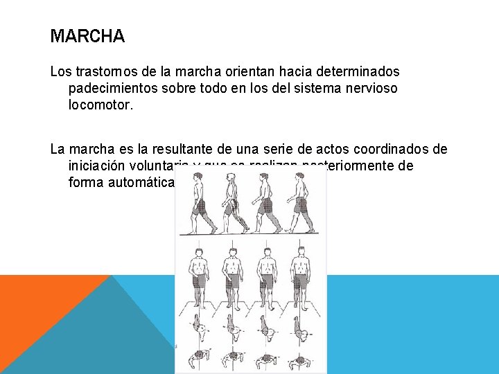 MARCHA Los trastornos de la marcha orientan hacia determinados padecimientos sobre todo en los