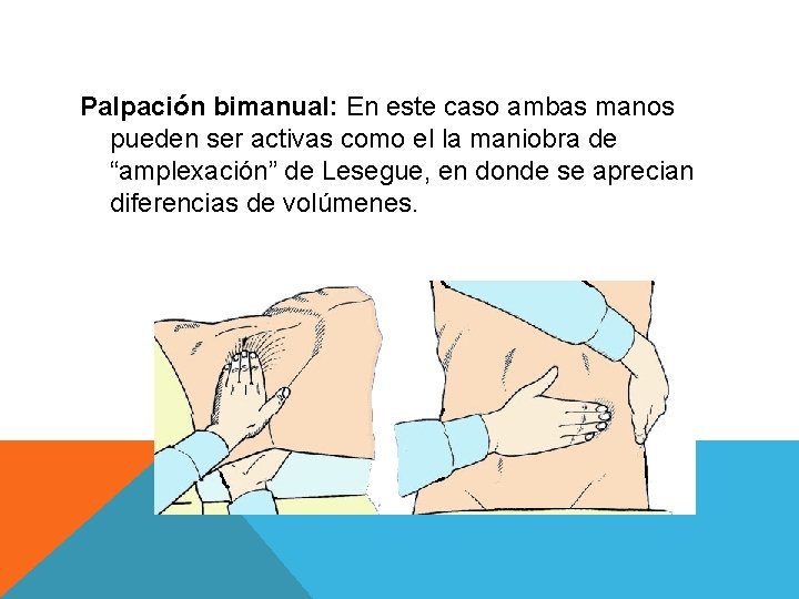 Palpación bimanual: En este caso ambas manos pueden ser activas como el la maniobra