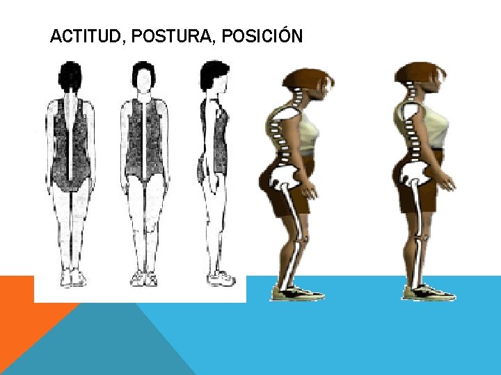 ACTITUD, POSTURA, POSICIÓN 