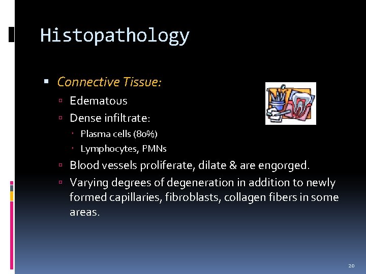 Histopathology Connective Tissue: Edematous Dense infiltrate: Plasma cells (80%) Lymphocytes, PMNs Blood vessels proliferate,