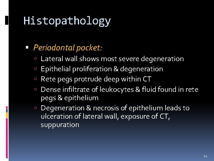 Histopathology Periodontal pocket: Lateral wall shows most severe degeneration Epithelial proliferation & degeneration Rete
