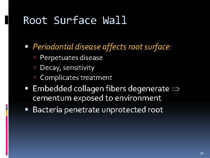Root Surface Wall Periodontal disease affects root surface: Perpetuates disease Decay, sensitivity Complicates treatment
