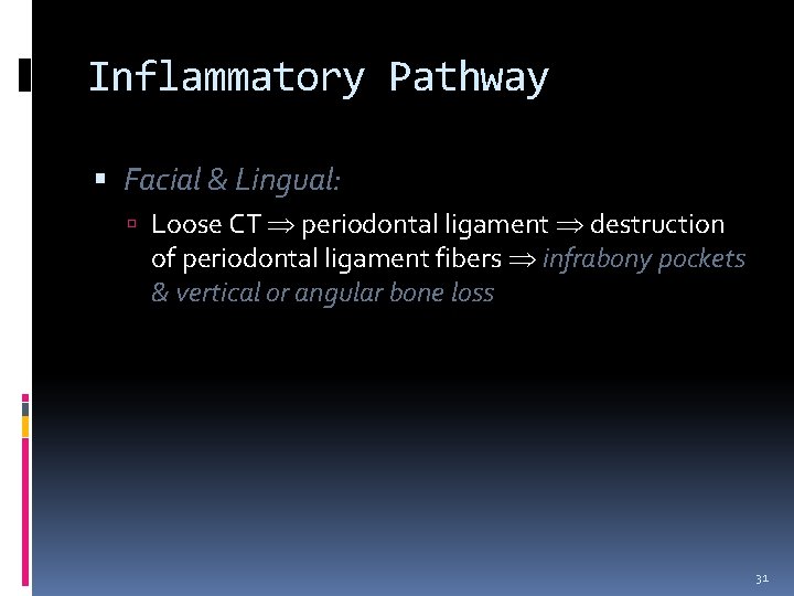 Inflammatory Pathway Facial & Lingual: Loose CT periodontal ligament destruction of periodontal ligament fibers