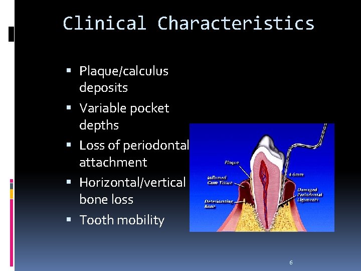 Clinical Characteristics Plaque/calculus deposits Variable pocket depths Loss of periodontal attachment Horizontal/vertical bone loss