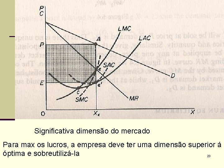 Significativa dimensão do mercado Para max os lucros, a empresa deve ter uma dimensão