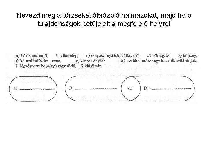 Nevezd meg a törzseket ábrázoló halmazokat, majd írd a tulajdonságok betűjeleit a megfelelő helyre!