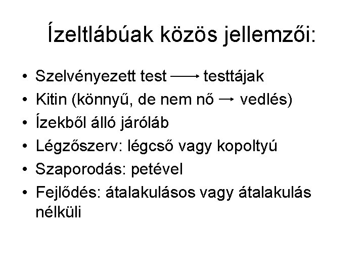 Ízeltlábúak közös jellemzői: • • • Szelvényezett testtájak Kitin (könnyű, de nem nő vedlés)