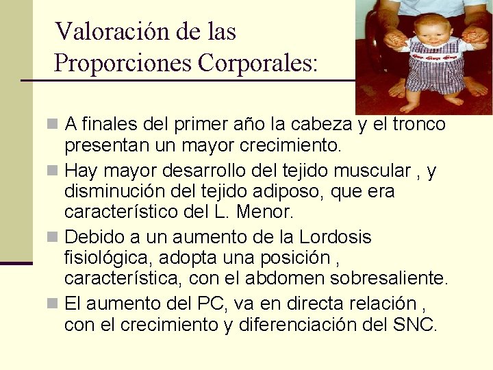 Valoración de las Proporciones Corporales: n A finales del primer año la cabeza y