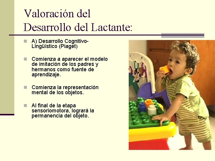 Valoración del Desarrollo del Lactante: n A) Desarrollo Cognitivo- Lingüístico (Piaget) n Comienza a