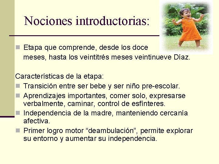 Nociones introductorias: n Etapa que comprende, desde los doce meses, hasta los veintitrés meses