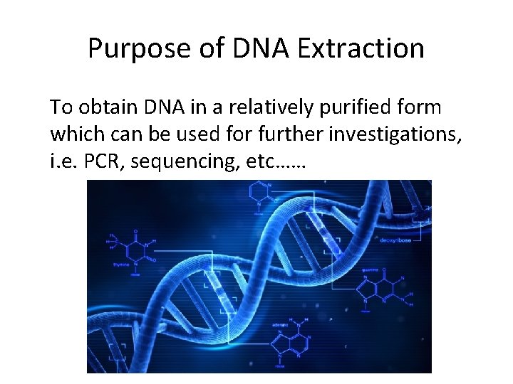 Purpose of DNA Extraction To obtain DNA in a relatively purified form which can