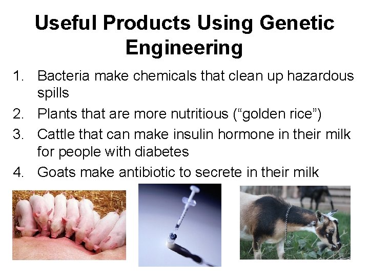 Useful Products Using Genetic Engineering 1. Bacteria make chemicals that clean up hazardous spills