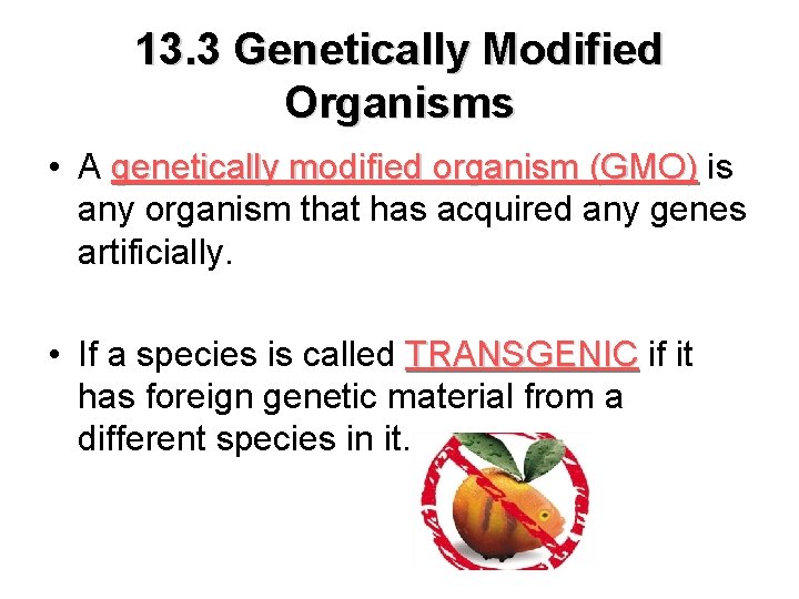 13. 3 Genetically Modified Organisms • A genetically modified organism (GMO) is any organism