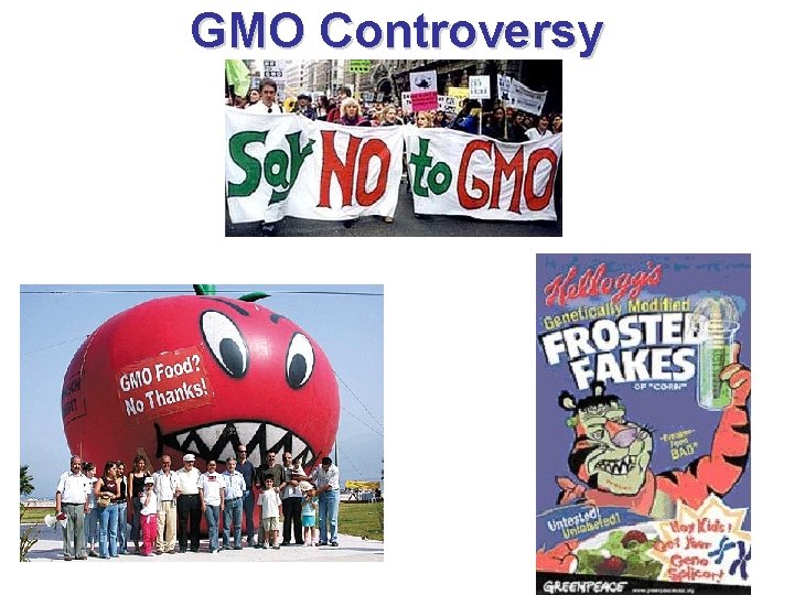 GMO Controversy 