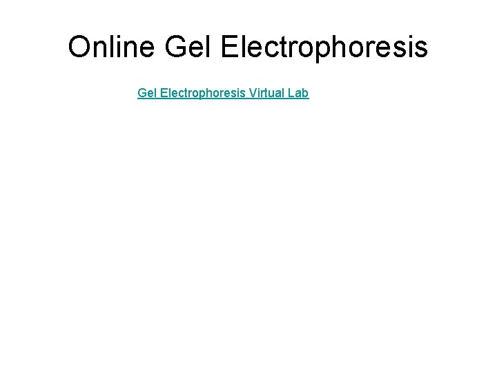 Online Gel Electrophoresis Virtual Lab 