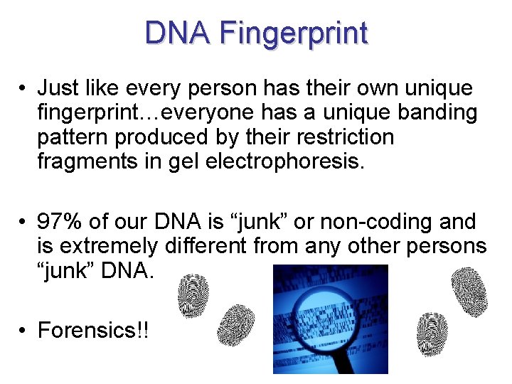 DNA Fingerprint • Just like every person has their own unique fingerprint…everyone has a