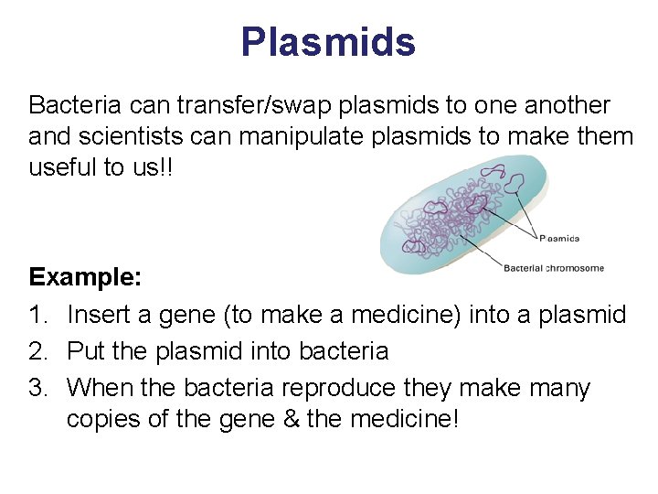 Plasmids Bacteria can transfer/swap plasmids to one another and scientists can manipulate plasmids to