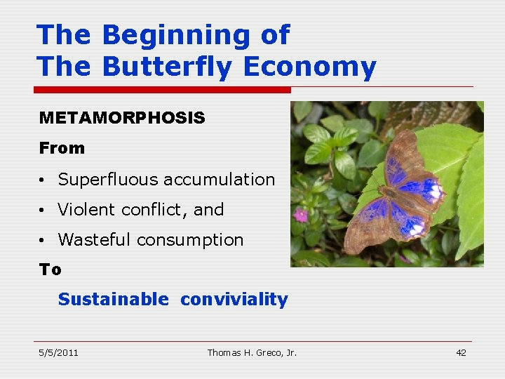 The Beginning of The Butterfly Economy METAMORPHOSIS From • Superfluous accumulation • Violent conflict,