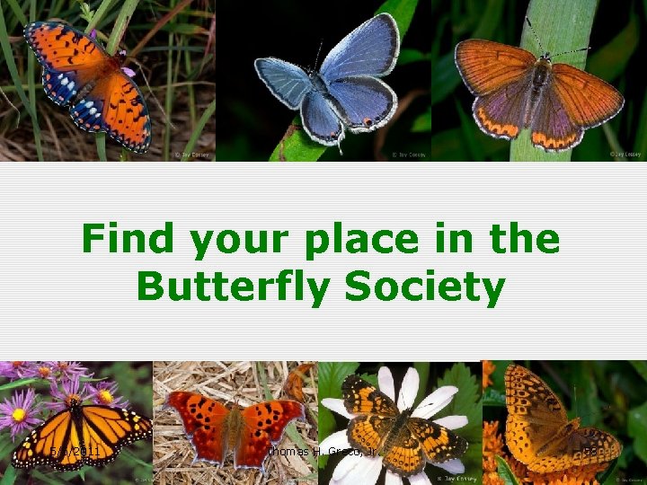 Find your place in the Butterfly Society 5/5/2011 Thomas H. Greco, Jr. 58 