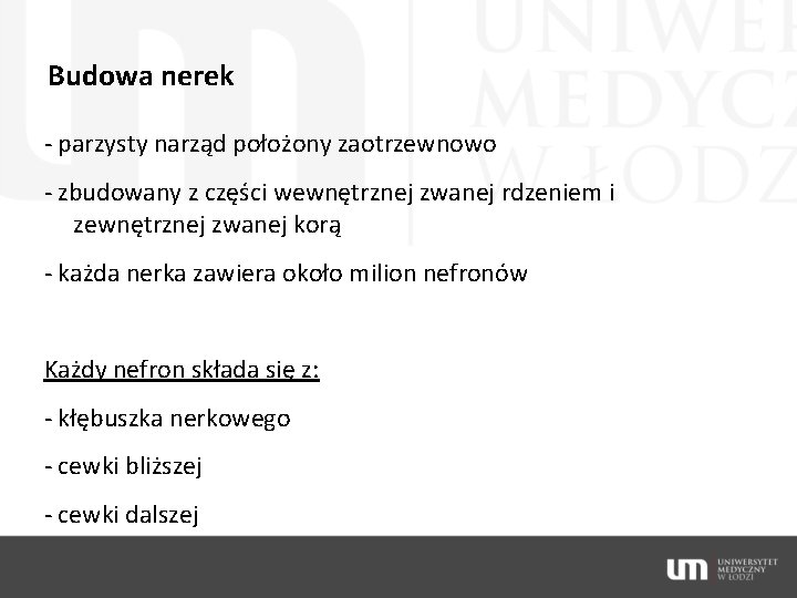 Budowa nerek - parzysty narząd położony zaotrzewnowo - zbudowany z części wewnętrznej zwanej rdzeniem