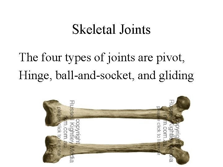 Skeletal Joints The four types of joints are pivot, Hinge, ball-and-socket, and gliding 