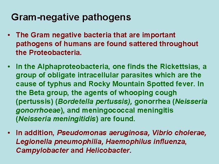 Gram-negative pathogens • The Gram negative bacteria that are important pathogens of humans are