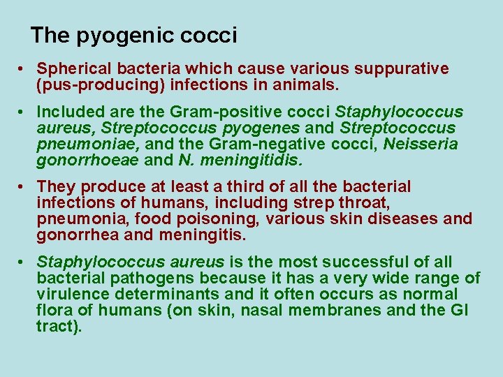 The pyogenic cocci • Spherical bacteria which cause various suppurative (pus-producing) infections in animals.