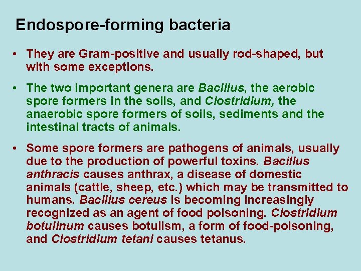 Endospore-forming bacteria • They are Gram-positive and usually rod-shaped, but with some exceptions. •