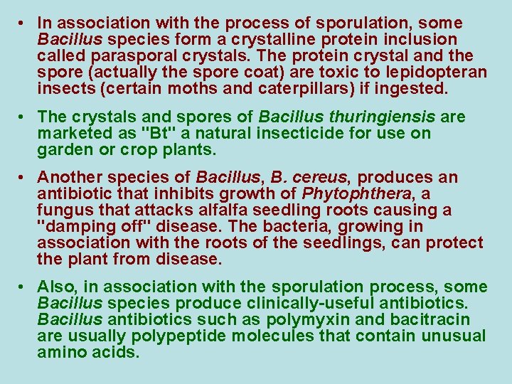  • In association with the process of sporulation, some Bacillus species form a