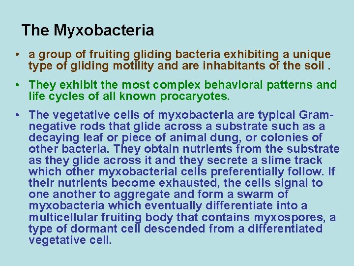 The Myxobacteria • a group of fruiting gliding bacteria exhibiting a unique type of