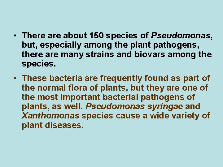  • There about 150 species of Pseudomonas, but, especially among the plant pathogens,